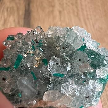 Amazon.co.jp: ダイオプテーズ 水晶 A1 共生 鉱物 標本 原石